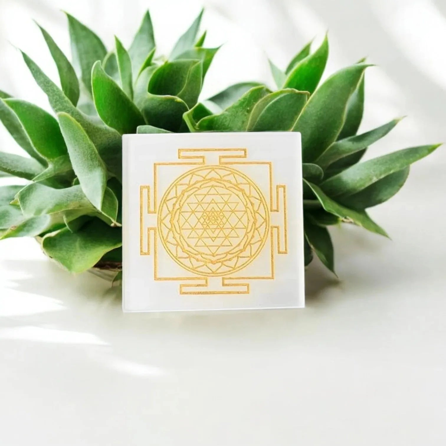 charge-crystals-with-selenite-plate-la-tatva-74603 - LA TATVA