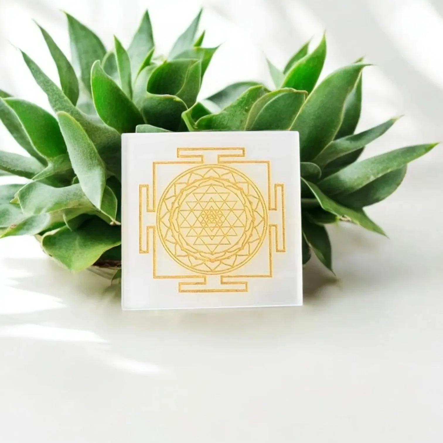 charge-crystals-with-selenite-plate-la-tatva-1 - LA TATVA