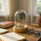 Pyrite Crystal Tree with Glass Dome – Manifest Prosperity & Protection - LA TATVA