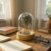 Pyrite Crystal Tree with Glass Dome – Manifest Prosperity & Protection