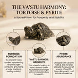 Pyrite Tortoise – Vastu Wealth & Prosperity Stone