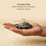 Pyrite Tortoise – Vastu Wealth & Prosperity Stone
